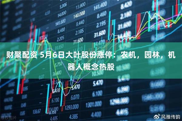财聚配资 5月6日大叶股份涨停：农机，园林，机器人概念热股