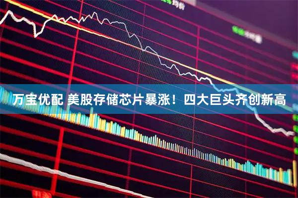 万宝优配 美股存储芯片暴涨！四大巨头齐创新高